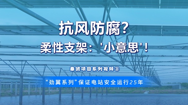 【奉贤渔光互补项目】系列视频三：沿海恶劣环境克星，江苏东软“劲翼系列”柔性支架抗风防腐双重保障