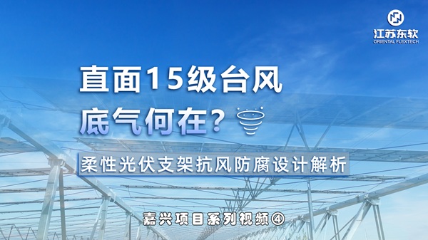 【嘉兴水务光伏项目】系列视频四：25年防腐长效保障，15级台风屹立不倒！江苏东软柔性光伏支架系统，为沿海光伏电站筑牢“钢铁防线”
