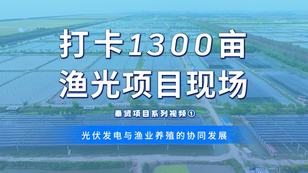 【奉贤渔光互补项目】系列视频一：江苏东软柔性支架技术助力1300亩水域变身“绿电渔场”，年发电量近6000万千瓦时